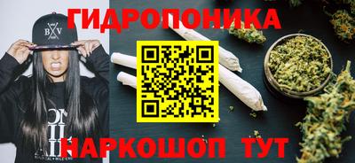 стаф Гусь-Хрустальный