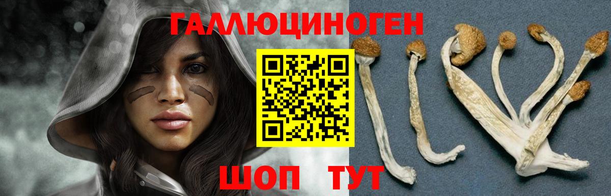 Галлюциногенные грибы мицелий  Галлюциногенные грибы Cubensis  Арзамас  Вход с VPN 